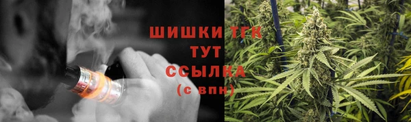 ПСИЛОЦИБИНОВЫЕ ГРИБЫ Верхний Тагил