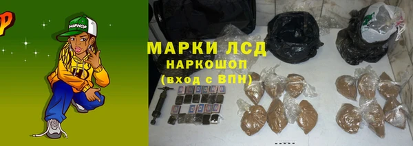 ПСИЛОЦИБИНОВЫЕ ГРИБЫ Верхний Тагил