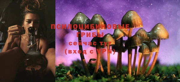 ПСИЛОЦИБИНОВЫЕ ГРИБЫ Верхний Тагил